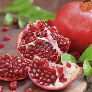 Half Day Spa - TERRA